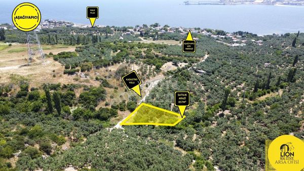 🟨⬛erdek Aşağıyapıcı Mahallesinde Fırsat Ve Yatırımlık 857m² Satılık Zeytinlik⬛🟨