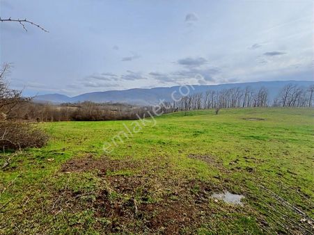 Düzce Yeşil Yayla Köyü Satılık Tarla