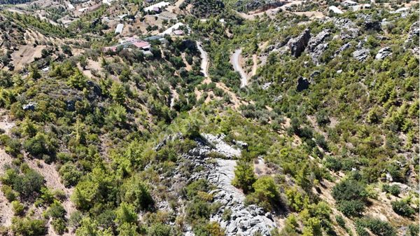 Gazipaşa Kızılgüney’de Acil Satılık Tarla