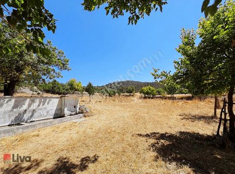 Liva'dan Bigadiç Turfullar'da Yatırımlık 14.197 M² Tarla