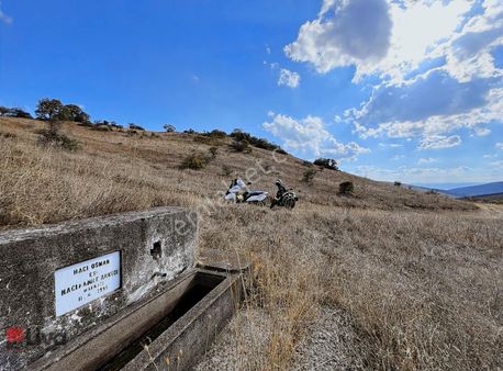 Rw Livadan Altıeylül Ayvatlar'da Yatırım Fırsatı Tarla