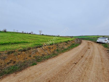 İzmit Çavuşoğlu Mah. 6069 M2 Yatırımlık Fırsat Satılık Arazi