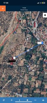 Bayındır Zeytinova Satılık Bahçe