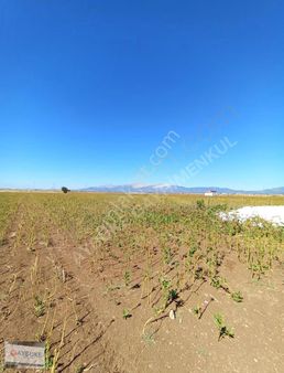 Tavas Pınarlar Da Değerli Fırsat Arazi Satışta