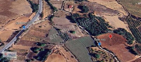 Çal Hüseyinler'de 7103 M2 Yetişkin Verimli Kaliteli Üzüm Bağı