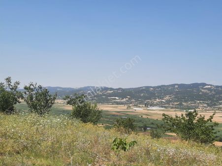 Fethiye, Nif Te, 2 100 M2, Satılık, Kelepir Arazi