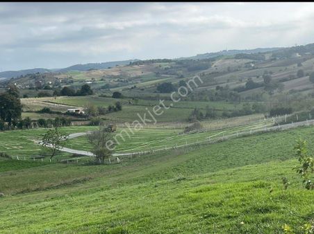 Sakarya Kaynarca Kertilde Satılık Hisseli