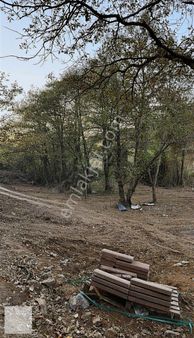 Kapı Numarası Alınmış Ahşap Yapı