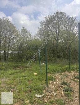 Molafenarı Köyünde Satılık 350 M2 Tarla