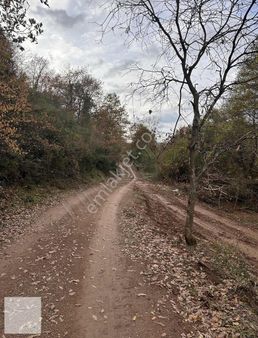 Gebze Ovacık Köhünde Satılıl Tarla