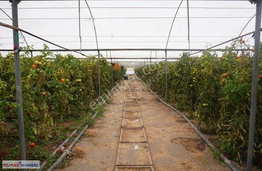 ''doğa İle İç İçe Hem Yatırıma Hem Tarıma Uygun Arazi''