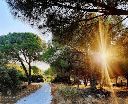 İzmir Bergama Kozak Okçular Eski Yapı Dam Bağ Satılık