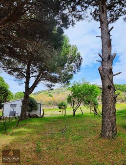 İzmir Bergama Aşagıbey Bağ Bahçe Satılık
