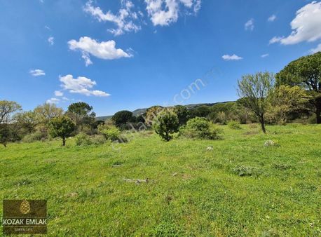 Bergama Kozak Okçular Eski Bağ Satılık