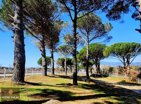 Kozak Emlak Bergama Karaveliler Tarım İmarlı Tarla Satılık