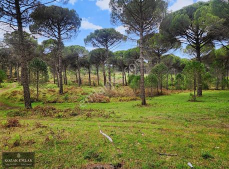 Bergama Kozak Göbeller Tarım İmarlı Arazi Satılık