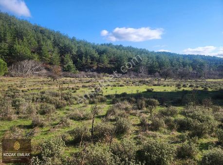 Kozak Emlak Ayvalık Hacıveliler Tarım İmarlı Tarla Satılık