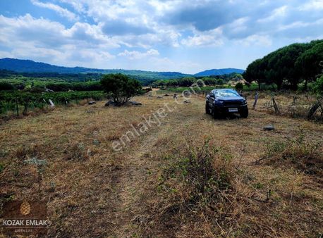Kozak Emlak Bergama Aşağıbey Eski Bağ Satılık