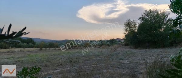 İlbistanlı Köyünde 9.860 M2 Kullanım Alanı Olan Tarla Satılık