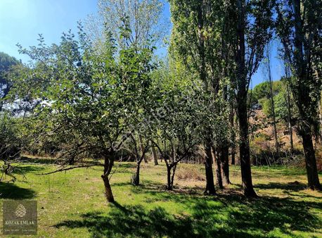 Bergama Kozak Karaveliler Köyünde Satılık İmarlı Arsalar