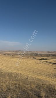 Armes,ten Ankara Polatlı Yağmurbaba Köyü Tek Tapu Satılık Arsa