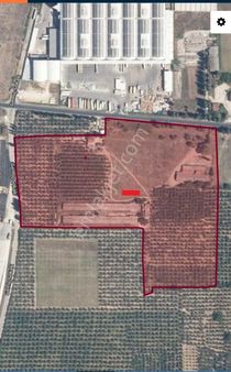 Bursa Orhangazi Gemiç"te Satılık Çiflik Büyük -küçük Baş Ahır Ev Arsa