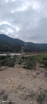 Güney Ertuğrul Güney Selale Yol Üstü, Menderes Nehrinin Dibinde.