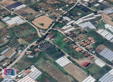 Parka Cepheli 432 M2 İmarlı Müstakil Parsel | Acil