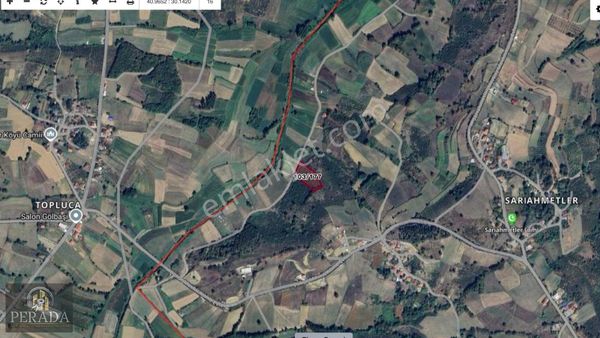 Kocaeli Kandıra Sarıahmetler'de 4.247m2 Fındık Bahçesi