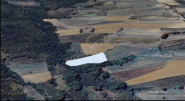 Kocaeli Kandıra Yusufça'da 3.306 M2 Muhteşem Fırsat