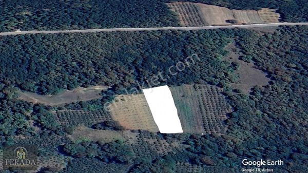 Kocaeli Kandıra Yusufça'da 2.320m2 Muhteşem Fırsat