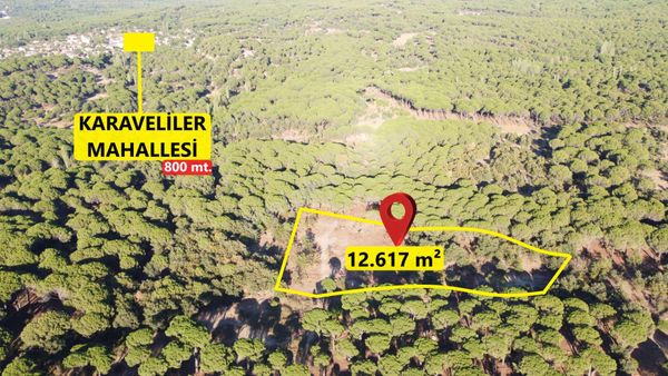 Pinus Gayrimenkul'den///kozak Yaylasında Doğayla İç İçe 12.617 M² Satılık Tarla