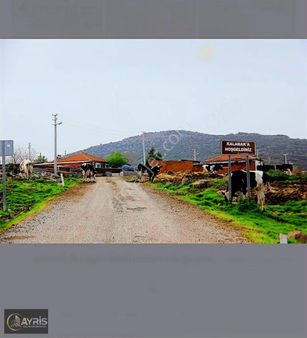 İzmir Aliağa Kalabak Köyü Köy İçi İmarlı Arsa