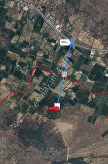 Muğla Milas Karayoluna Yakın Tarla