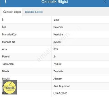 İzmir Bayındır Kızıloba'da Acil Satılık Zeytinlik Tarla