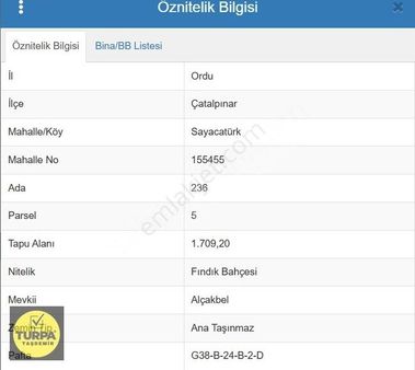 Ordu Çatalpınar'da !!acil!! Satılık Fındık Bahçesi (fiyat Düştü)