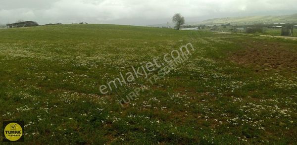Turpa Taşdemir'den Menderes Develi'de 5.000 M2 Satılık Tarla