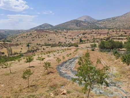 🏡 Pınarbaşı’nda Doğayla İç İçe Badem Bahçesi Satılık 🌳