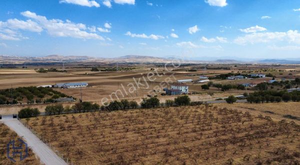 Harbert'den Alpağut'ta 5 Parça Yatırımlık Bahçelik Tarlalar