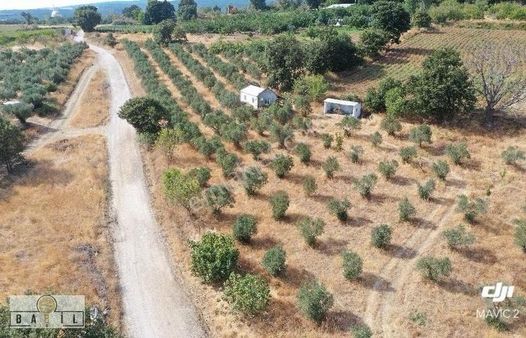 Balıkesir Bandırma Dedeoba Kargir Ev Tarla Arsa Konumunda !