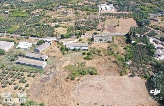 Babil Gyo'dan Balıkesir Bandırma Edincik Sarı Alanda Bağ