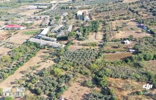 Babil Gyo'dan Bandırma Edincik Mahallesinde Sarı Alanda Arazi