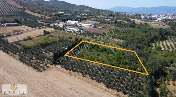 Babil Gyo'dan Bandırma Edincik Konut Planı İçinde Vasıflı Arazi