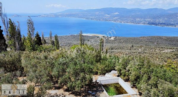 Babil Gyo'dan Bandırma Edincik Toki Konutlarının Dibinde Arazi