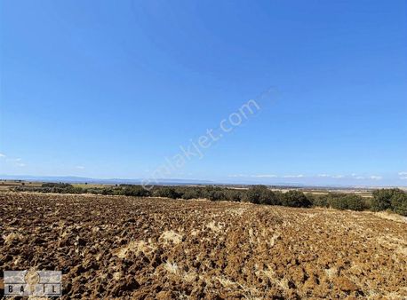 Babil Gyo'dan Bandırma Yeşilçomlu Tarafında 4 Dönüm Tarla