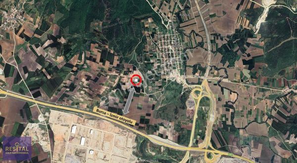 Karacabey, Hürriyet Köyde Otoyola Yakın Satılık Tarla