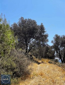 Manzaralı Kadastro Yolu Mevcut