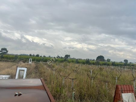 Vizyon Gayrimenkul'den Manisa Güzelköy'de Su Ve Elektrik Mevcut Tek Tapulu Satılık Tarla