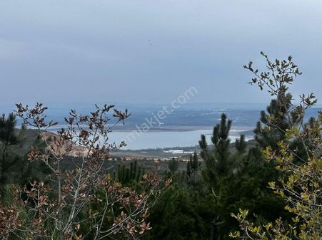 Akçalarda Satılık 2500 Ö Kare Arazi