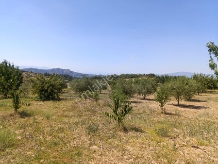 İnan Emlak Gayrimenkulden Ayvacıkta Satılık Tarla